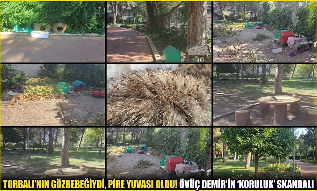 TORBALI’NIN GÖZBEBEĞİYDİ, PİRE YUVASI OLDU!