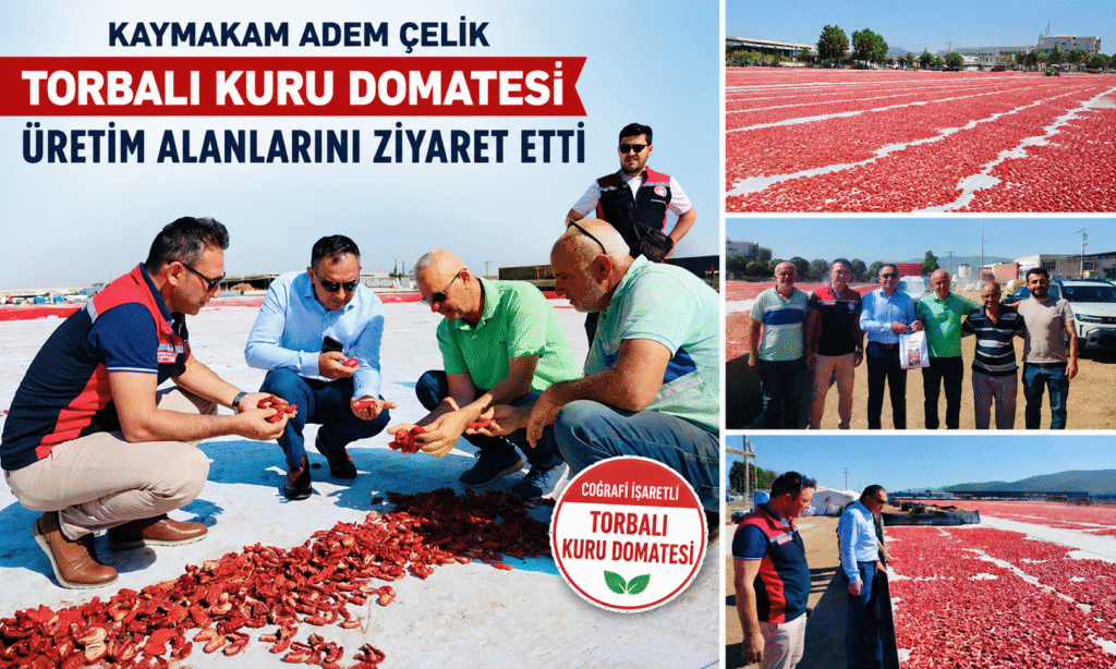 Kaymakam Adem Çelik, Torbalı Kuru Domatesi Üretim Alanlarını Ziyaret Etti